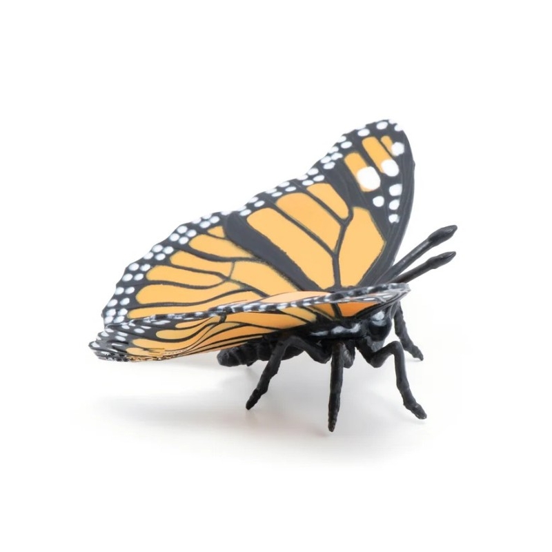 Papillon monarque