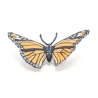 Papillon monarque