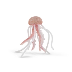 Méduse