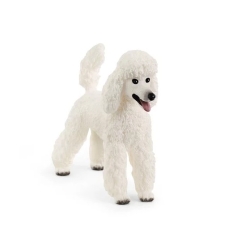 Caniche Schleich