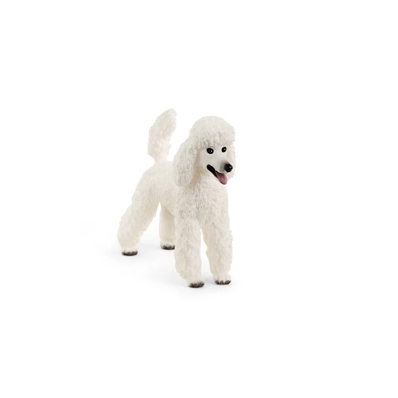 Caniche Schleich
