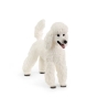 Caniche Schleich