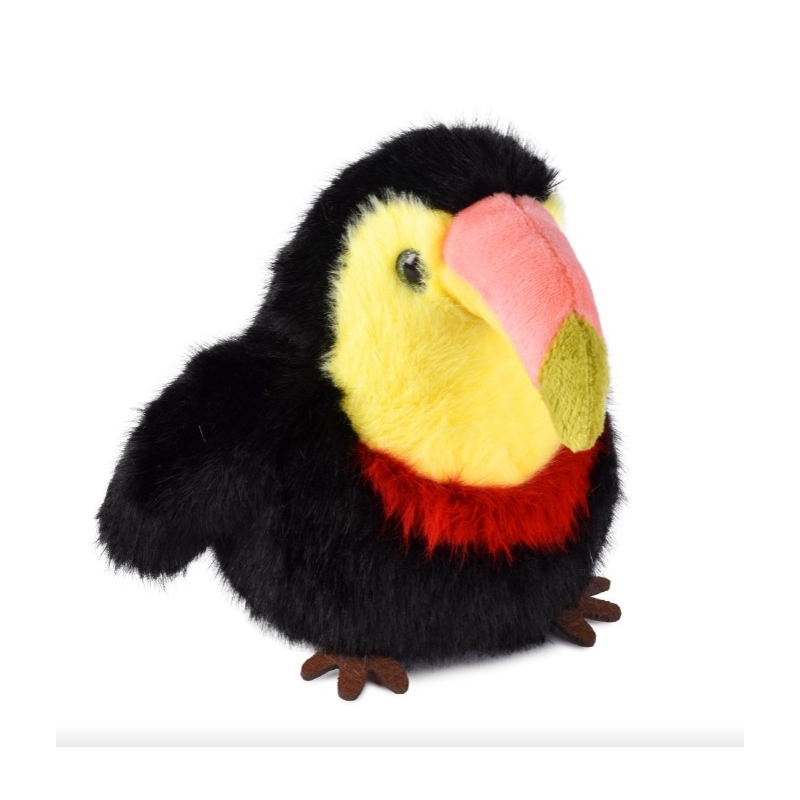 Les Cui-Cui Paradis - Toucan