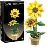 Cada - Tournesols