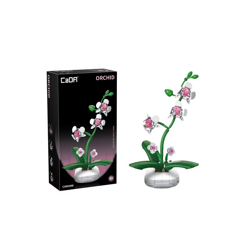 Cada - Orchidée