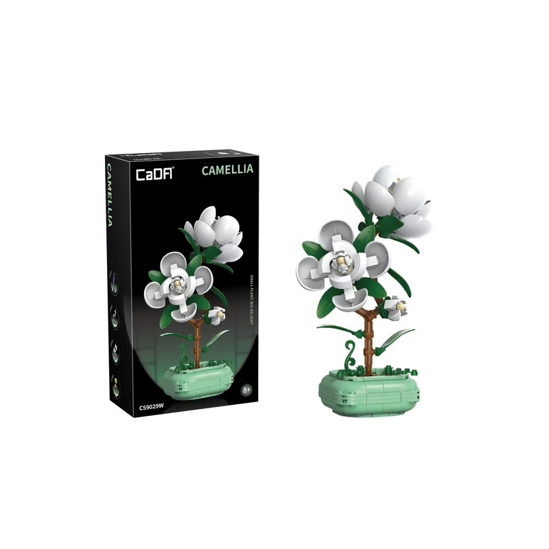 Cada - Camélia