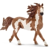 Etalon Pinto Schleich