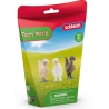 Farm World - Poules amies