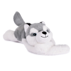 Podcoll - Husky
