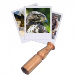 Les Zapos - Appeau Buse variable