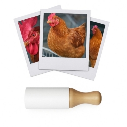 Les Zapos - Appeau Poule