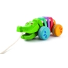 Rainbow Alligator