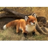 Marionnette renard rouge