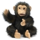 Marionnette Chimpanzée