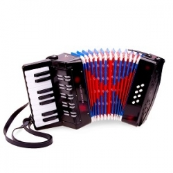 Grand accordéon noir