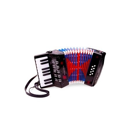 Grand accordéon noir