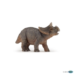 Triceratops bébé