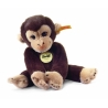 Singe koko 25