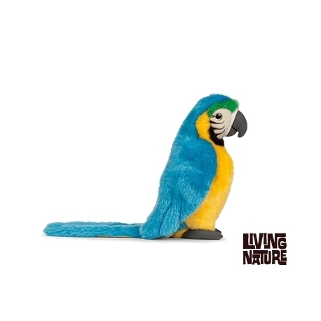 Peluche Perroquet