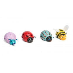 Insectes à friction