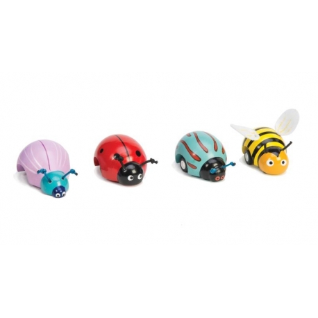 Insectes à friction