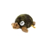 Tortue Slo