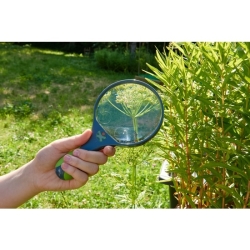 Terra Kids - Loupe