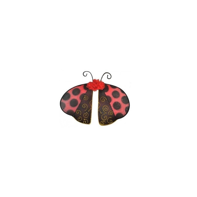 Ailes de coccinelle