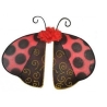 Ailes de coccinelle
