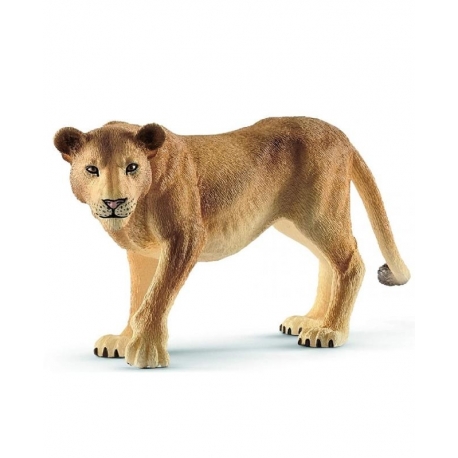 Lionne Schleich