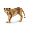 Lionne Schleich
