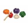 Set de légumes à 5 couleurs