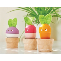 Légumes à construire