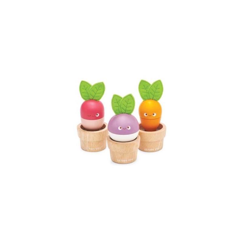Légumes à construire