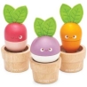 Légumes à construire