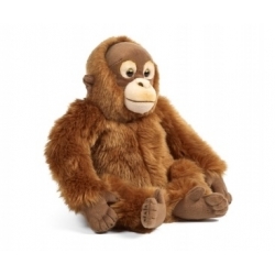 Peluche Orang-outan