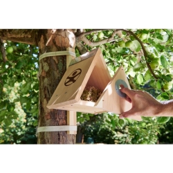 Terra kids - Kit d'assemblage nichoir