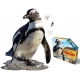 Puzzle I am - Pingouin