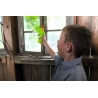 Terra Kids - Aspirateur d'insectes