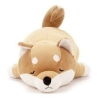Nemu Nemu - Chien shiba