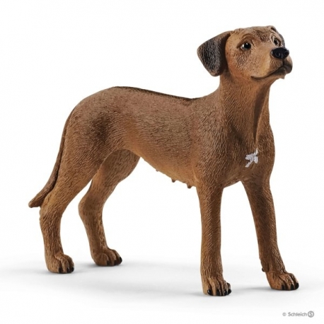 Chien de Rhodésie à crête Dorsale Schleich