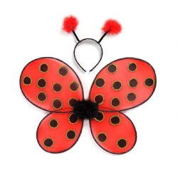 Ailes de coccinelle