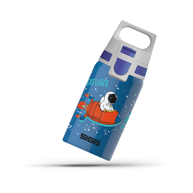 Gourde Sigg 0.5 L Shield one - Space