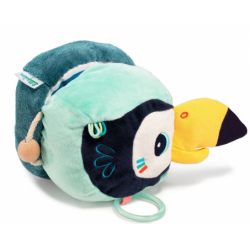 Toucan découvertes Pablo