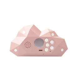 Cloudy clock rose pastel