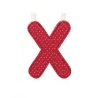 Lettre X