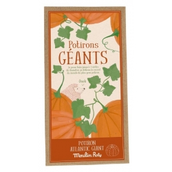 Le jardin du moulin - Graines de potirons