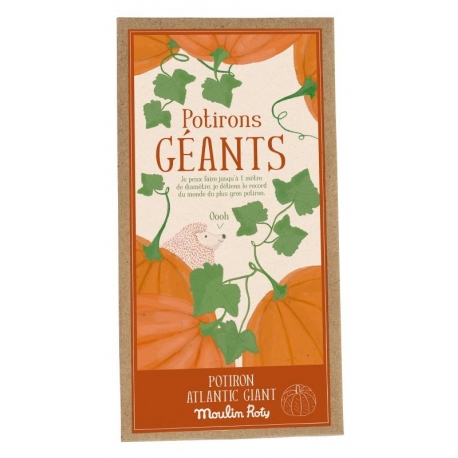 Le jardin du moulin - Graines de potirons