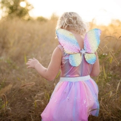 Déguisement - Tutu et ailes de papillon arc-en-ciel 4/6 ans