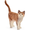 Chat Schleich